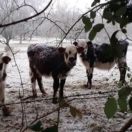 Fenetre A La Campagne Апартаменты Saint-Desir