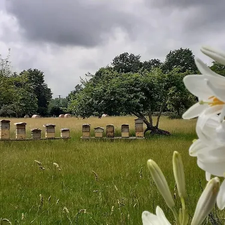 Fenetre A La Campagne Апартаменты Saint-Desir