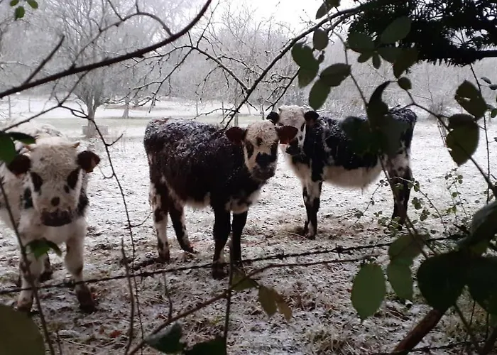 Fenetre A La Campagne Apartment Saint-Desir