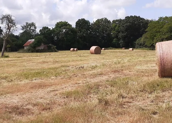 Apartment Fenetre A La Campagne *