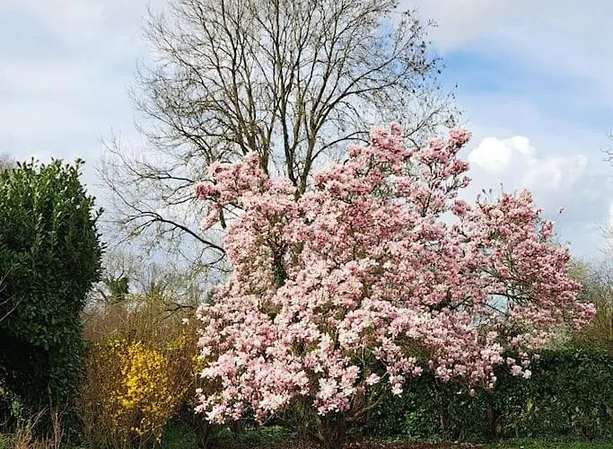 Fenetre A La Campagne * Saint-Desir