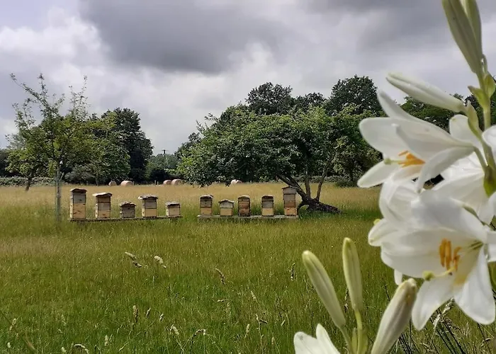 Fenetre A La Campagne Apartment Saint-Desir